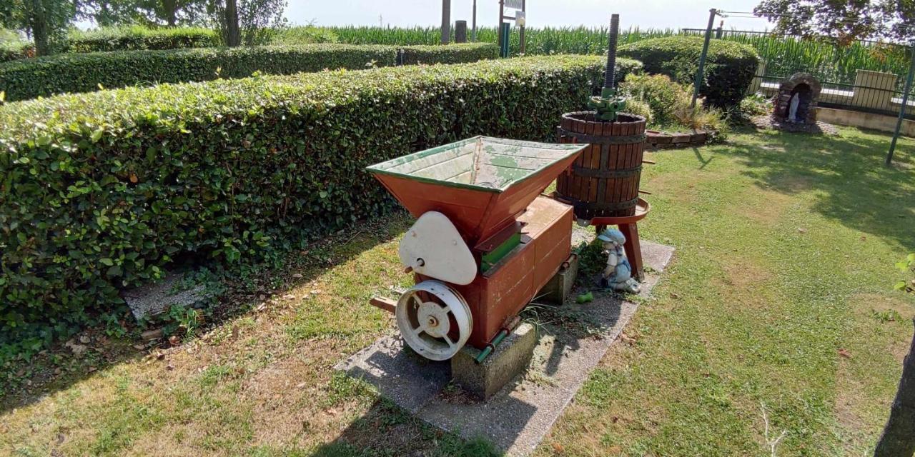 Farm stay La Fraterna *